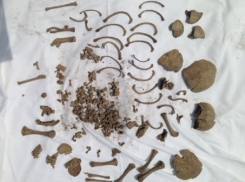 Останки утопленной матерью девочки-младенца нашла на своем огороде шокированная жительница Ставрополья