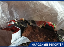 Опарышей в шоколадных конфетах обнаружил житель Ставрополья