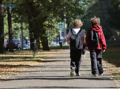 Запрет продажи энергетиков детям обосновали ставропольские эксперты