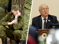 Не мобилизовывать родителей и опекунов детей-инвалидов попросили Госдуму депутаты Ставрополья
