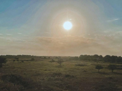 Дождь и ветер переиграют Шуфутинского в Ставрополе 3 сентября 