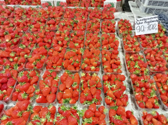 «Мы бы сами хотели понять, почему так дорого»: цены на клубнику шокируют ставропольцев и самих продавцов