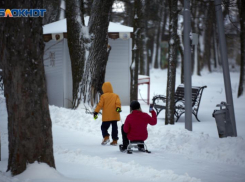 Школы Ставрополья перевели на дистанционное обучение из-за погодных условий