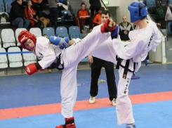 Ставропольские тхэквондисты готовятся покорить Австралию на Кубке мира