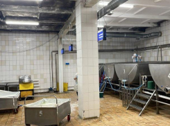 Предпринимателей заподозрили в отправке молочки с кишечной палочкой на 42 миллиона в детсады Ставрополя