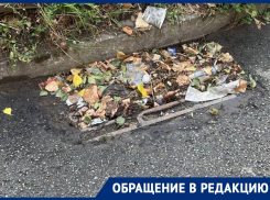 Забитые мусором ливневки заметили жители Ставрополя 