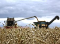 Минсельхоз Ставрополья надеется создать 2 045 рабочих мест в 2023 году