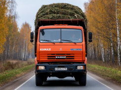 Более 200 тысяч рублей взыскали со ставропольского водителя большегруза за испорченную дорогу