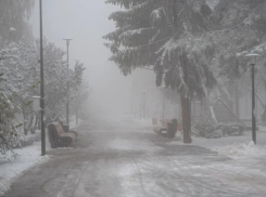 Очередной режим повышенной готовности ввели на Ставрополье из-за 5-градусных заморозков 