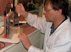 Чужую кровь отправил на экспертизу терапевт в попытке выгородить своего пьяного друга-водителя на Ставрополье