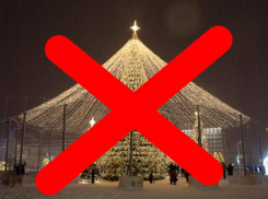 Елку за 46 миллионов отказались покупать в Ставрополе