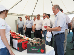 Крупнейший в стране тепличный комплекс появится в Ставропольском крае