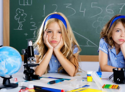 Как много школьных знаний у вас еще осталось?