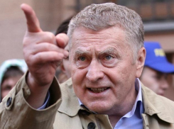 Жириновский потребовал заполнить московские прилавки ставропольскими продуктами