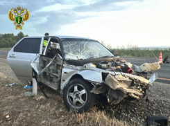 Два человека погибли в ночном ДТП на трассе в Кочубеевском округе после наезда на тросовое ограждение