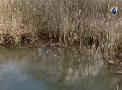 Подробностями гибели 4-летнего мальчика в пойме реки Кура на Ставрополье поделились следователи