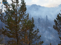 Режим повышенной готовности ввели на Ставрополье из-за сильной жары