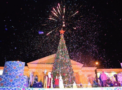 Зажечь новогоднюю Ёлку и встретить Деда Мороза пригласили маленьких жителей Ставрополя