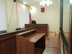 Известная анимационная студия судится с жительницей Ставрополя из-за Лунтика