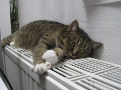 Без тепла в домах в Минеральных Водах остались более двух тысяч человек