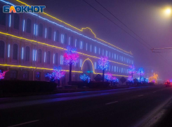 «Любимое место отдыха горожан»: власти Ставрополя обосновали установку светодиодных деревьев за 64 миллиона рублей 