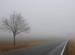 Бабье лето на Ставрополье сменилось туманом и моросью