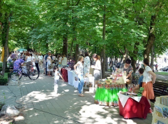 Творческий фестиваль поразил множеством арт-площадок в центре Ставрополя