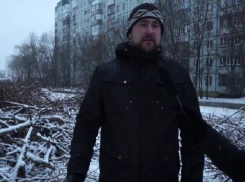По документам вырубили сухие тополя, но тут были ясени и фруктовые деревья, - общественник из Ставрополя