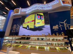 Москвичи организуют форум «InRussia» на Ставрополье почти за 60 миллионов рублей