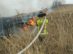В СНТ «Зорька» в Ставрополе загорелась трава площадью в 3 000 метров