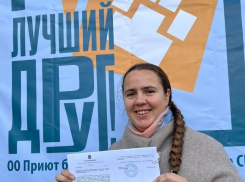 Многострадальному ставропольскому приюту «Лучший друг» наконец-то выделили землю 