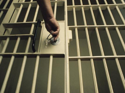 Ехал и намеренно давил: виновного в смерти ставропольчанина посадили на 10 лет