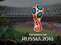  70  студентов из Пятигорска поедут на матчи ЧМ-2018 в качестве волонтеров