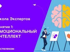 «Ростелеком» запустил для партнеров B2O «Школу Экспертов» онлайн 