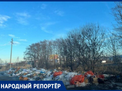 Огромная свалка на Георгиевском шоссе ужаснула местных жителей