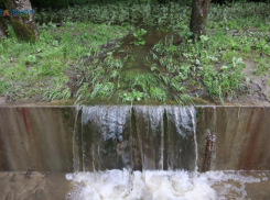 Дождь и небольшой ветер придут на Ставрополье в середине августа 