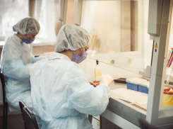 Ставропольских медиков могут перевести на почасовую оплату труда за работу с CoVID-пациентами