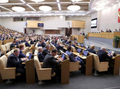 Депутаты Госдумы от Ставрополья призвали прекратить военный конфликт между Израилем и Палестиной 