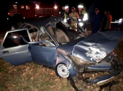 «Десятка» сбила насмерть лошадь на трассе Ставрополья - два человека получили переломы лица