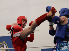 Ставропольские кикбоксеры собрали богатый медальный урожай на турнирах в Нальчике и Черкесске