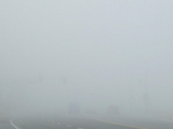 В МЧС предупредили об опасности тумана