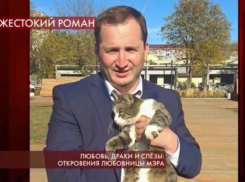 «Мне что, её изуродовать?» — в эфире программы «Пусть говорят» обсудили скандал с мэром Георгиевска