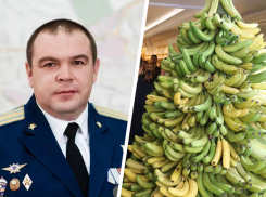 Невинномысским бананам быть: мэр подтвердил планы по выращиванию тропических фруктов