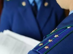 Прокуратура Ставрополья нашла нарушителей прав многодетной семьи, обратившейся на «прямую линию» президента