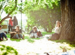 Туристический парк запланировали создать на Зеленом острове в Невинномысске