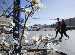 По-весеннему теплая неделя придет на Ставрополье