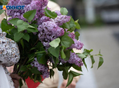 Дожди и прохлада ожидают Ставрополь 21 июня