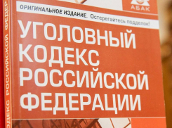 Жительница Ставрополья признана виновной в краже и ложном доносе