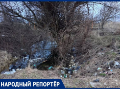 Бутылки, стройматериалы и посуда — чем богаты лесополосы Михайловска