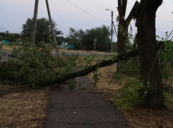 «Половина города осталась без света»: в Зеленокумске прошел самый сильный за последнее время ураган 